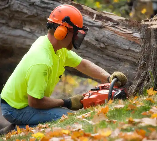 tree services China Grove